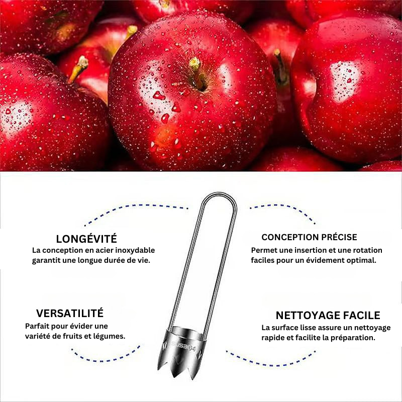 FruitCore - Noyau en Acier Inoxydable Pour Fruits et Légumes